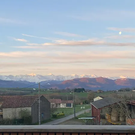 Authenticity And Friendliness *